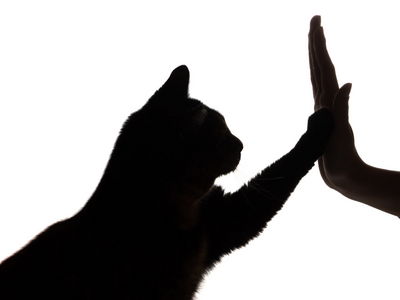 Felix Keil - High 5